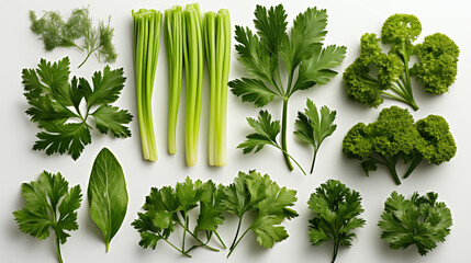 Mediterranean herbs: parsley, chives and arugula leaves and chopped pieces. isolated leaves, twigs and tips over a white background - obrazy, fototapety, plakaty
