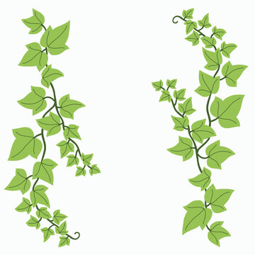 Floral ivy drawing decorative ornament flat design.