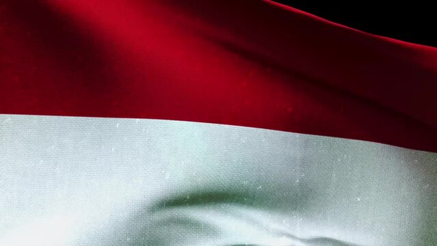 monaco flag waving closeup. Highly Detailed Fabric Pattern with vintage and retro effect, 3D Rendering video footage. 4K resolution for celebration, national award, patriotic, social media etc.