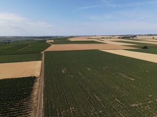 Aerial view of fields in summer