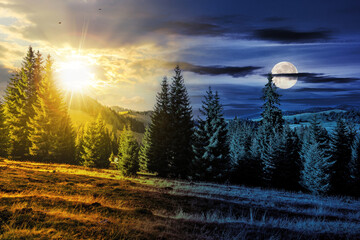 mountain landscape in autumn. coniferous forest on the hill beneath a sky with sun and moon at...
