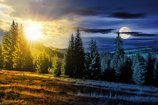 mountain landscape in autumn. coniferous forest on the hill beneath a sky with sun and moon at twilight. day and night time change concept. mysterious equinox scenery in morning light