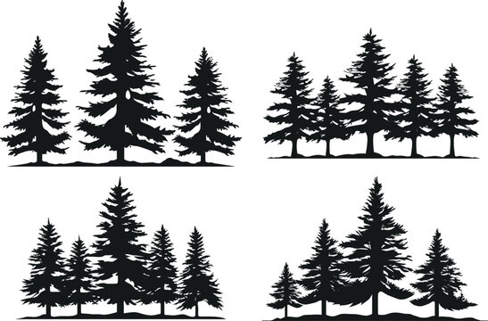 Vintage trees and forest silhouettes set with Fir tree silhouette and vector