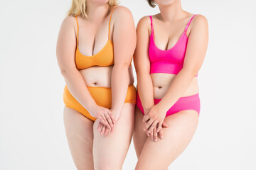 Two overweight women with fat flabby bellies, legs, hands and hips on gray background, plastic...