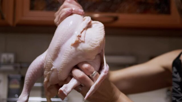 Close up, Chef Hand Holding a Raw Plucked Chicken Carcass in a Home Kitchen. Gutted Fresh broiler chicken. Duck frame with wings, and drumsticks. Pink dietary poultry meat. Cooking chicken at home.