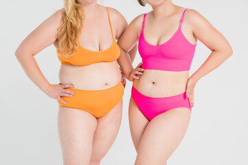 Two overweight women with fat flabby bellies, legs, hands and hips on gray background, plastic surgery and body positive concept