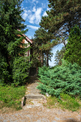 Hidden mountain house in a pine forest on Zlatibor, Serbia.