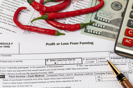 Hot pepper and farming profit or loss tax form with calculator. Vegetable and fruit farm income, finances and management concept.