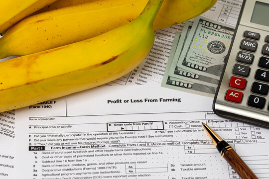 Bananas and farming profit or loss tax form with calculator. Banana and fruit farm income, finances and plantation management concept.