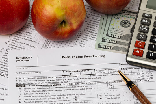 Apples and farming profit or loss tax form with calculator. Apple and fruit farm income, finances and orchard management concept.