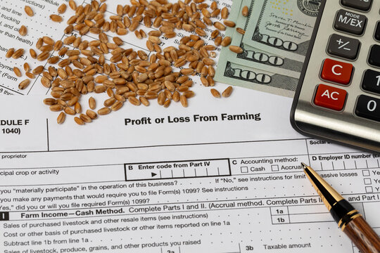 Wheat seed and farm tax form. Farming income, finances and management concept.