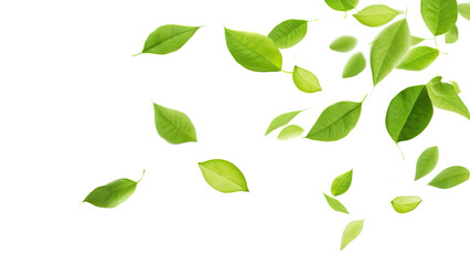 Green Floating Leaves Flying Leaves Green Leaf Dancing, Air Purifier Atmosphere Simple Main Picture, on transparent background, PNG file - obrazy, fototapety, plakaty