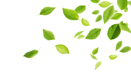 Green Floating Leaves Flying Leaves Green Leaf Dancing, Air Purifier Atmosphere Simple Main Picture, on transparent background, PNG file