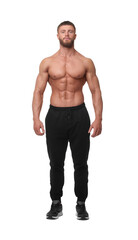 Fototapeta premium Young bodybuilder with muscular body on white background