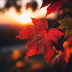 A close-up of a red maple leaf with veins and spots, on a blurry background with sunset