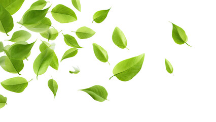 Green Floating Leaves Flying Leaves Green Leaf Dancing, Air Purifier Atmosphere Simple Main Picture, on transparent background, PNG file