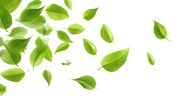 Green Floating Leaves Flying Leaves Green Leaf Dancing, Air Purifier Atmosphere Simple Main Picture, on transparent background, PNG file