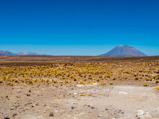 Impressive view of volcano Misti as seen from the highlands of Salinas Y Aguada Blanca National Reserve, Arequipa region, Peru
