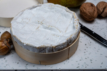 French soft Camembert cheese, original Camembert de Normandie, with white mold