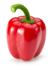 one red sweet bell pepper isolated on white background. clipping path