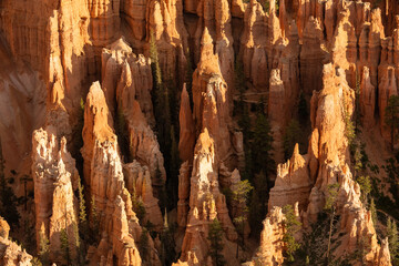 Hidden Trail Snakes Through The Shadowy Hoodoos In Bryce