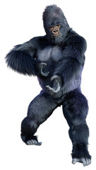 3D Rendering Black Gorilla Ape on White