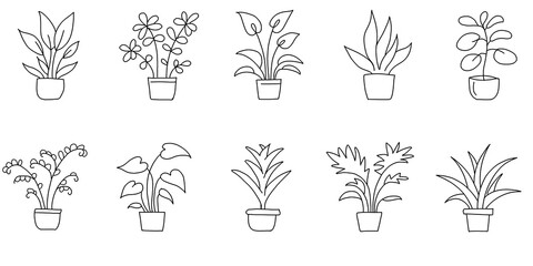 Collection of hand drawn flowers and potted plants.