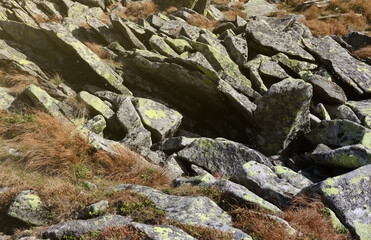 Textured rough rocks with lot of small details close up