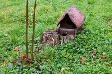 Bird house made of wood. Homemade house for birds