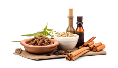 Traditional Chinese Medicine Ingredients
