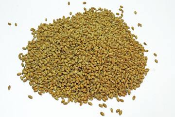 Wheat seeds close up on a white, isolated background.