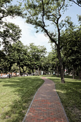 This is a photo of a brick path winding through a park with trees and grass on either side.