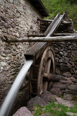 the mill wheel