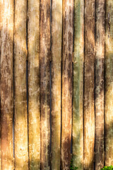 Palm tree shadow on a wooden wall.