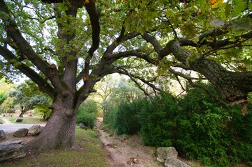 Gorges de Regalon im Luberon in der Provence