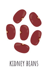 Kidney beans illustration isolated on white background. Beans vector graphic. Healthy cuisine ingredient. Vegan protein source.