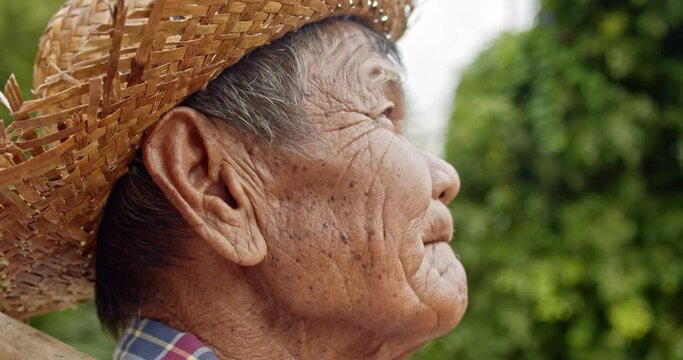 Slow motion scene of Asian farmer who is a rural poor elderly villager standing, holding a hoe, wearing hat, looking at the the sky while he working in the crop field.