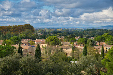 Fototapeta na wymiar Olivenzeit in der Provence