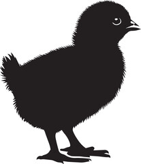 Chicken Silhouettes Chicken EPS Vector Chicken Clipart