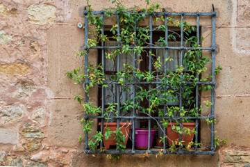 Fototapeta na wymiar Window with barred and plants on a stone facade