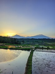 sunrise over the lake
