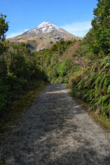 dirt road to the Volcano in New Zealand