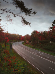 Road in autumn forest.