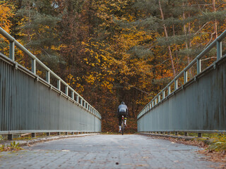 Cyclist rides across the bridge, autumn landscape. Biking in autumn