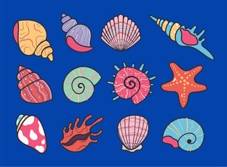 Seashell shell star shellfish marine aquatic isolated set. Vector flat graphic design illustration