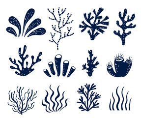 Seaweed alga marine sea plant aquatic reef isolated set. Vector flat graphic design illustration
 - obrazy, fototapety, plakaty