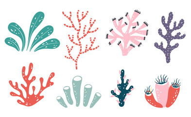 Fototapeta premium Seaweed alga marine sea plant aquatic reef isolated set. Vector flat graphic design illustration 