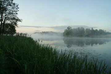 Fototapeta na wymiar Tranquil Morning: Reflection of Nature's Beauty in Misty Lake Landscape