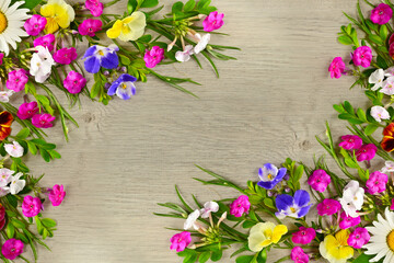 Chamomile, phlox and violet on a beautiful gray background. Free space for text. Collage.