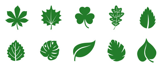 Leaf icons set ecology nature element, green leafs, environment and nature eco sign. Leaves on white background – vector for stock